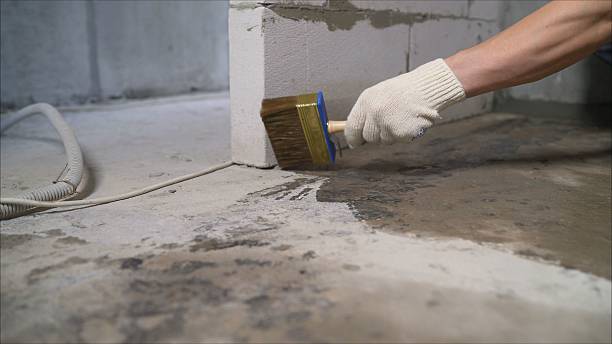 24/7 Emergency Waterproofing experts in Bridgeport, WA